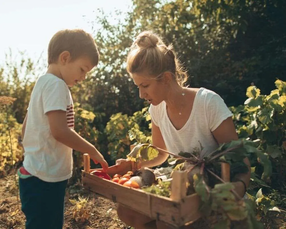 Planting vegetables together can be a fun and educational activity.