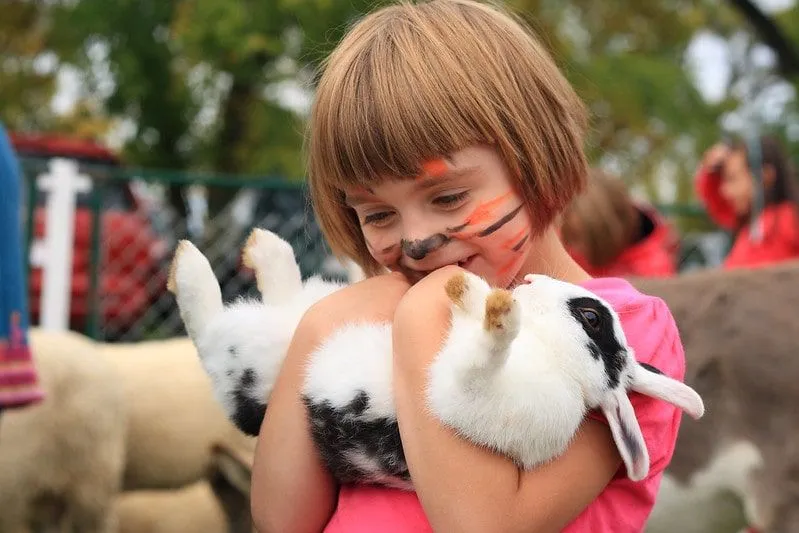 Little girl with her face painted like a tiger holding a white and black rabbit.