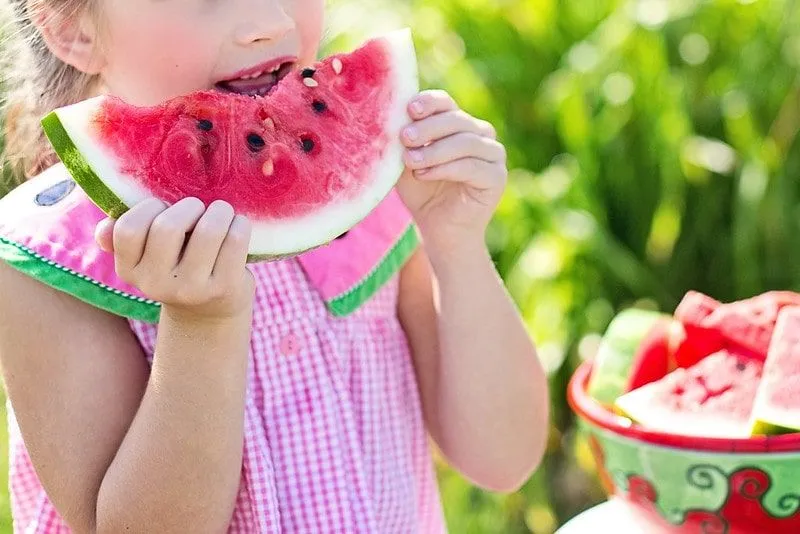 Girl in a pink top with a watermelon collar eating a slice of juicy watermelon.