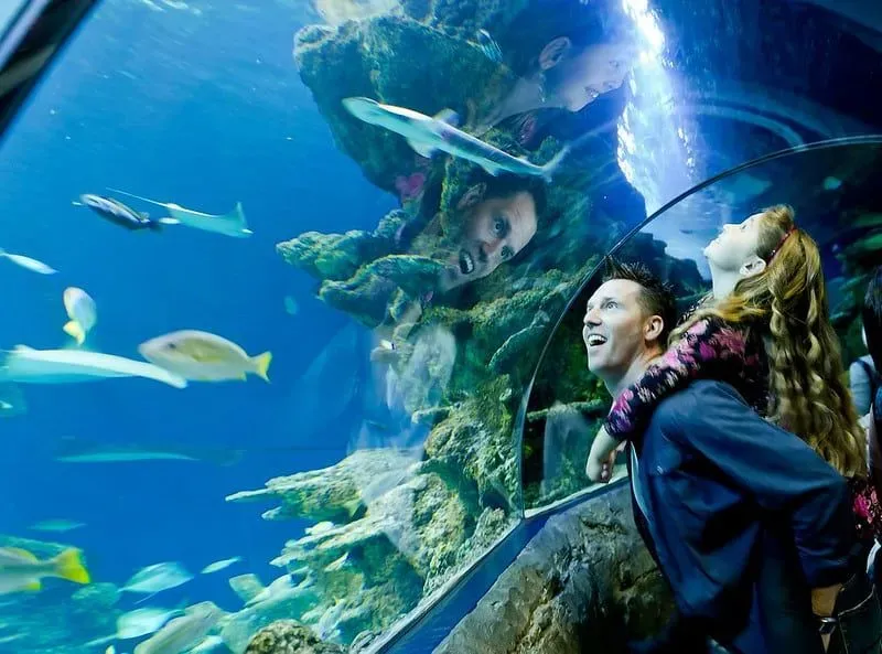 A father and his daughter watching the fish in the Ocean Tunnel at Sea Life London. 