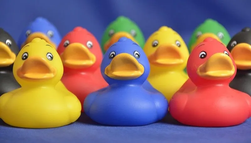 Rows of different coloured rubber ducks.