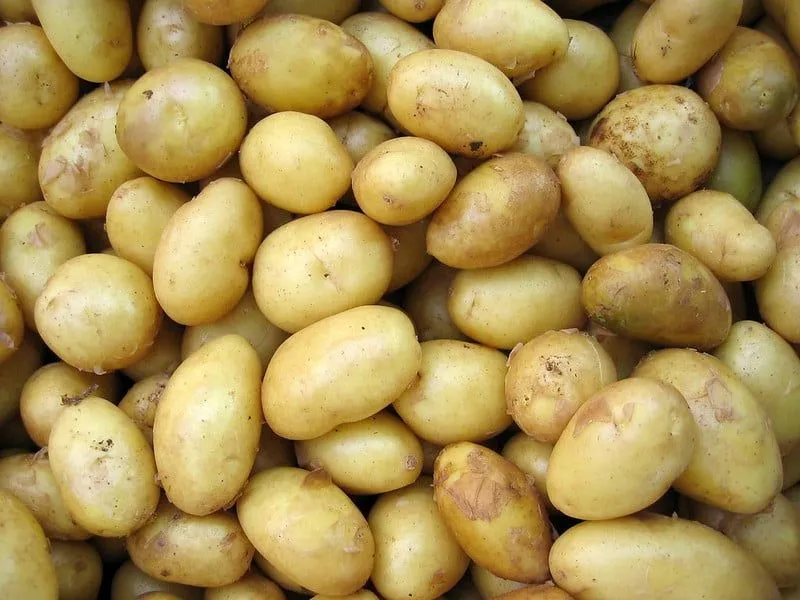 Lots of potatoes which have been washed and cleaned.