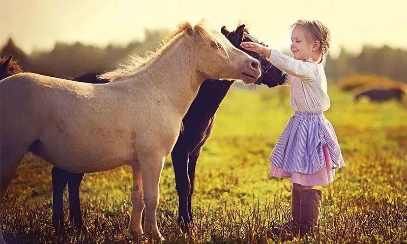 Little girl standing in front of two horse petting both of them.