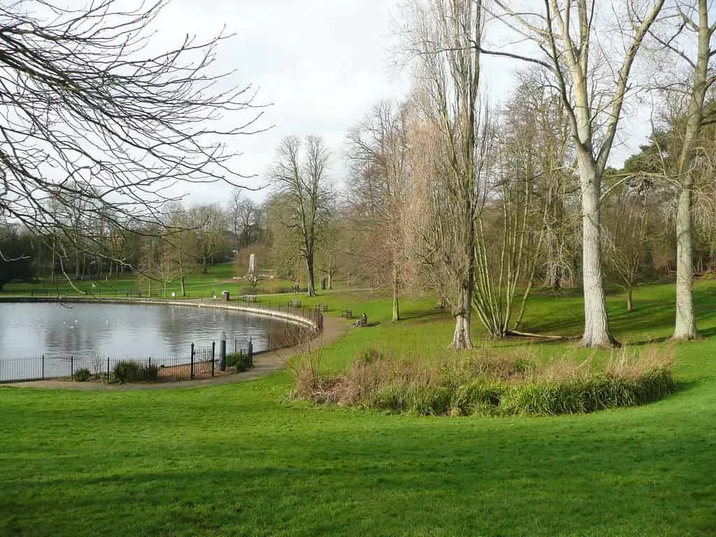 The trees and pond at Christchurch park in Ipswich.