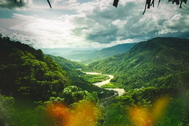 View over the Peruvian jungle from between the trees with a river winding through the grass.