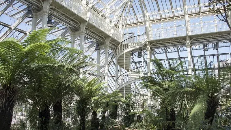 Inside the temperate house at Kew Gardens.