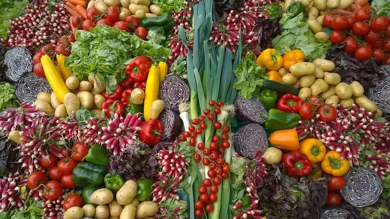 A colourful assortment of lots of vegetables.