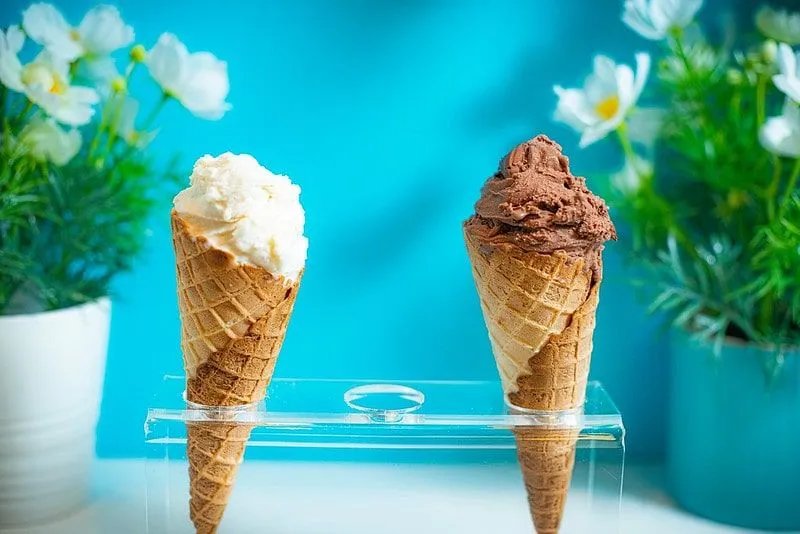 Vanilla and chocolate ice cream cones in a stand, with a blue background and flower pots behind.