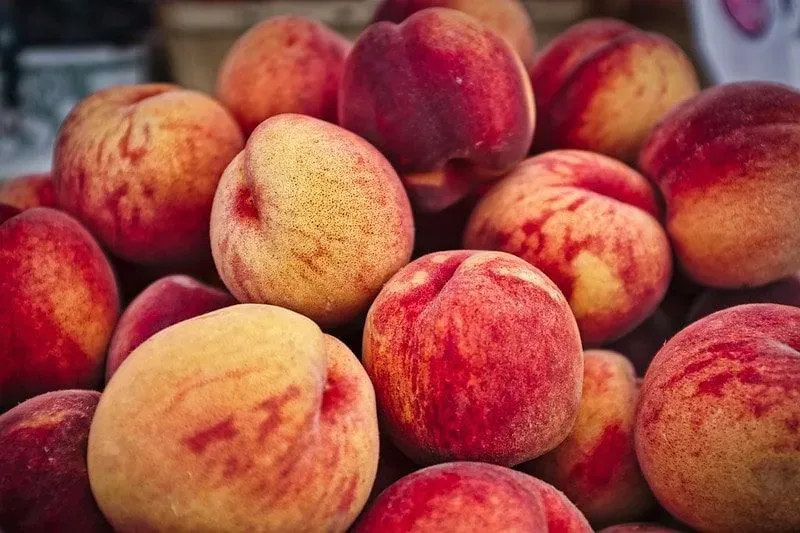 Pile of juicy peaches.