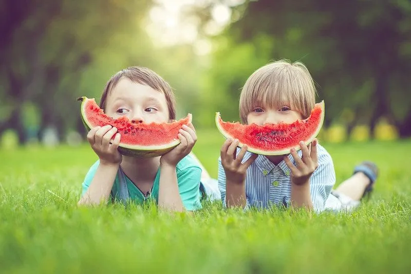Two boys lying on their stomachs in the grass, holding up watermelon wedges as smiles.