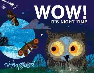 Wow! It's Night Time by Tim Hopgood.