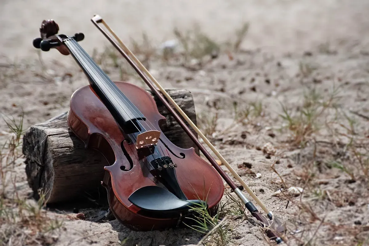 Violin and bow resting against a short log outside.
