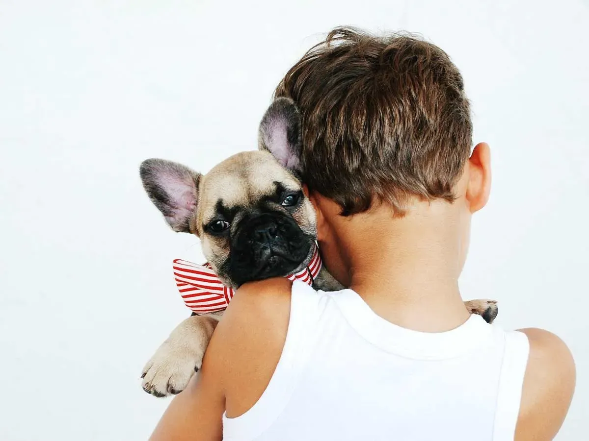 A young boy with his back to the camera hugs a cute pug wearing a red and white stripey bow tie.