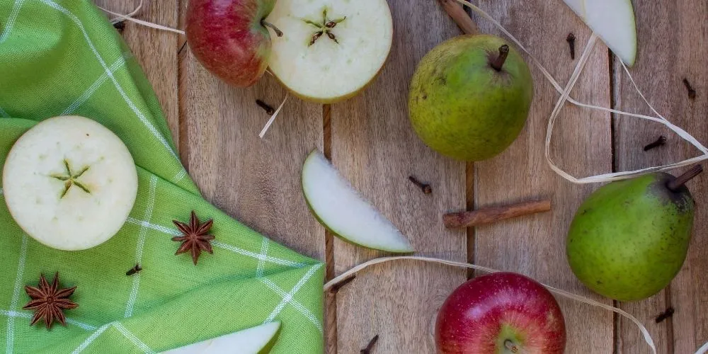 apple lunch idea.