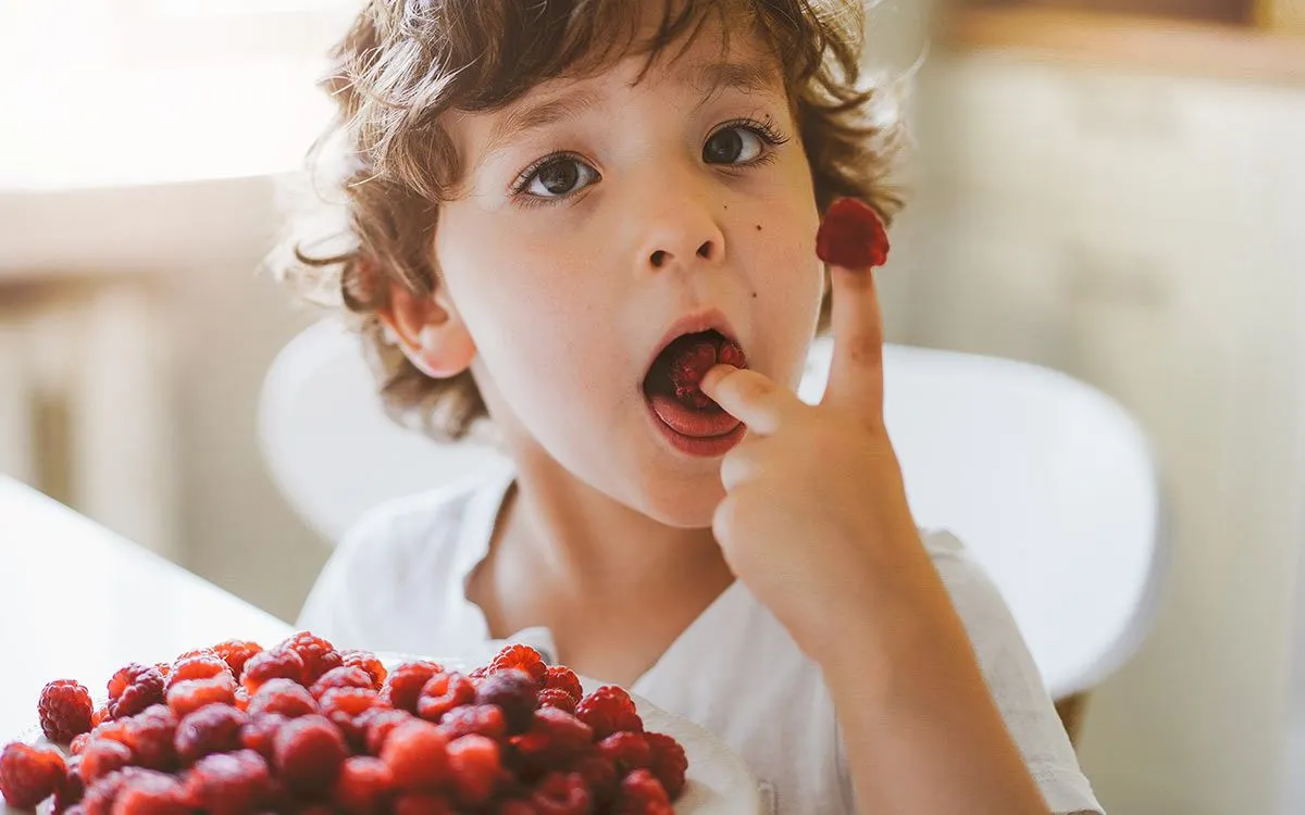 A close up image of a little boy eating raspberries that will travel through his digestive system.