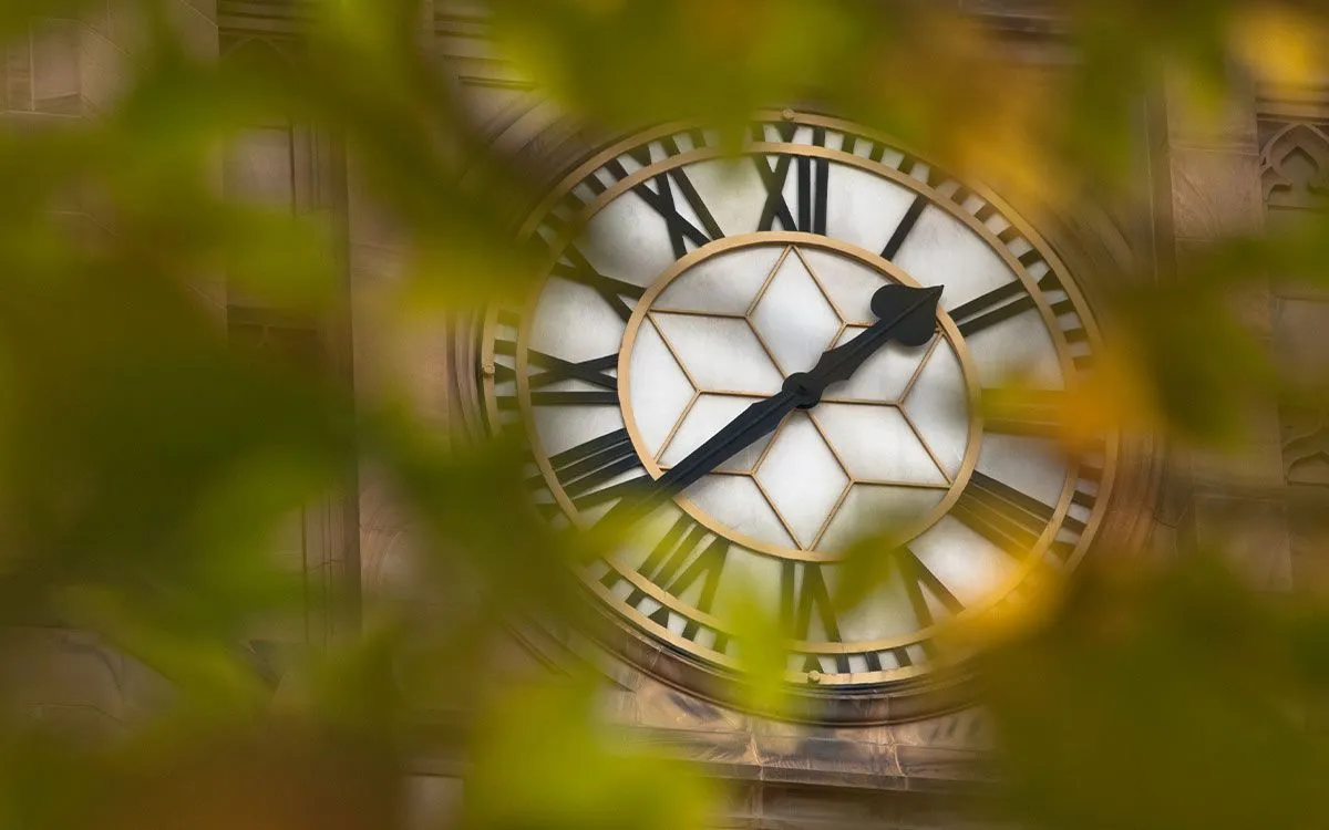 A close up image of a large clock face with Roman numerals which is framed by some leaves from a nearby tree.