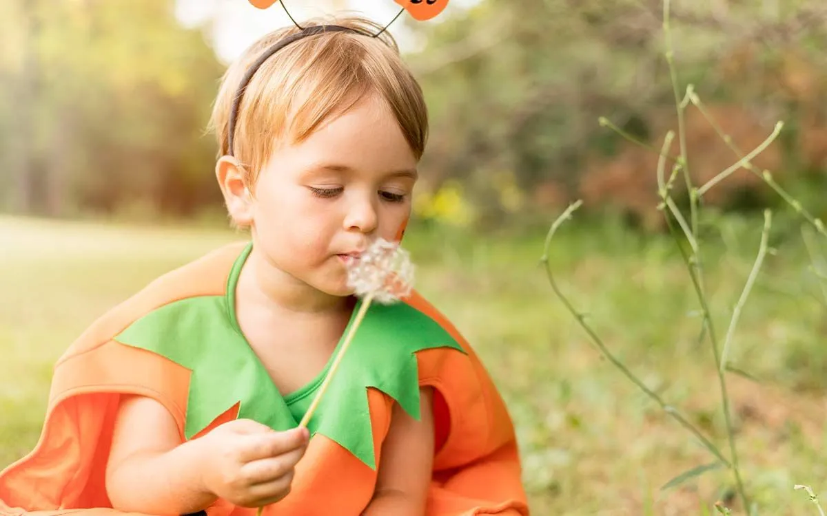 A young boy dressed as a pumpkin for Halloween is sat outside blowing the seeds of a dandelion.