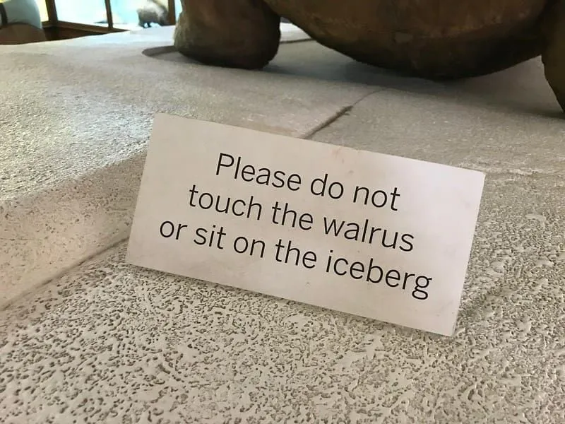 An interesting display sign which reads 'Please do not touch the walrus or sit on the iceberg'.