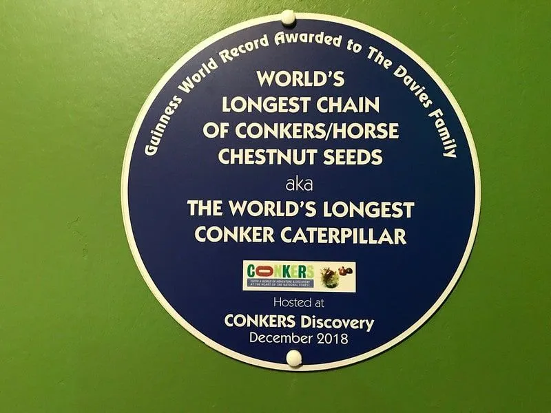 World's longest chain of conkers sign.