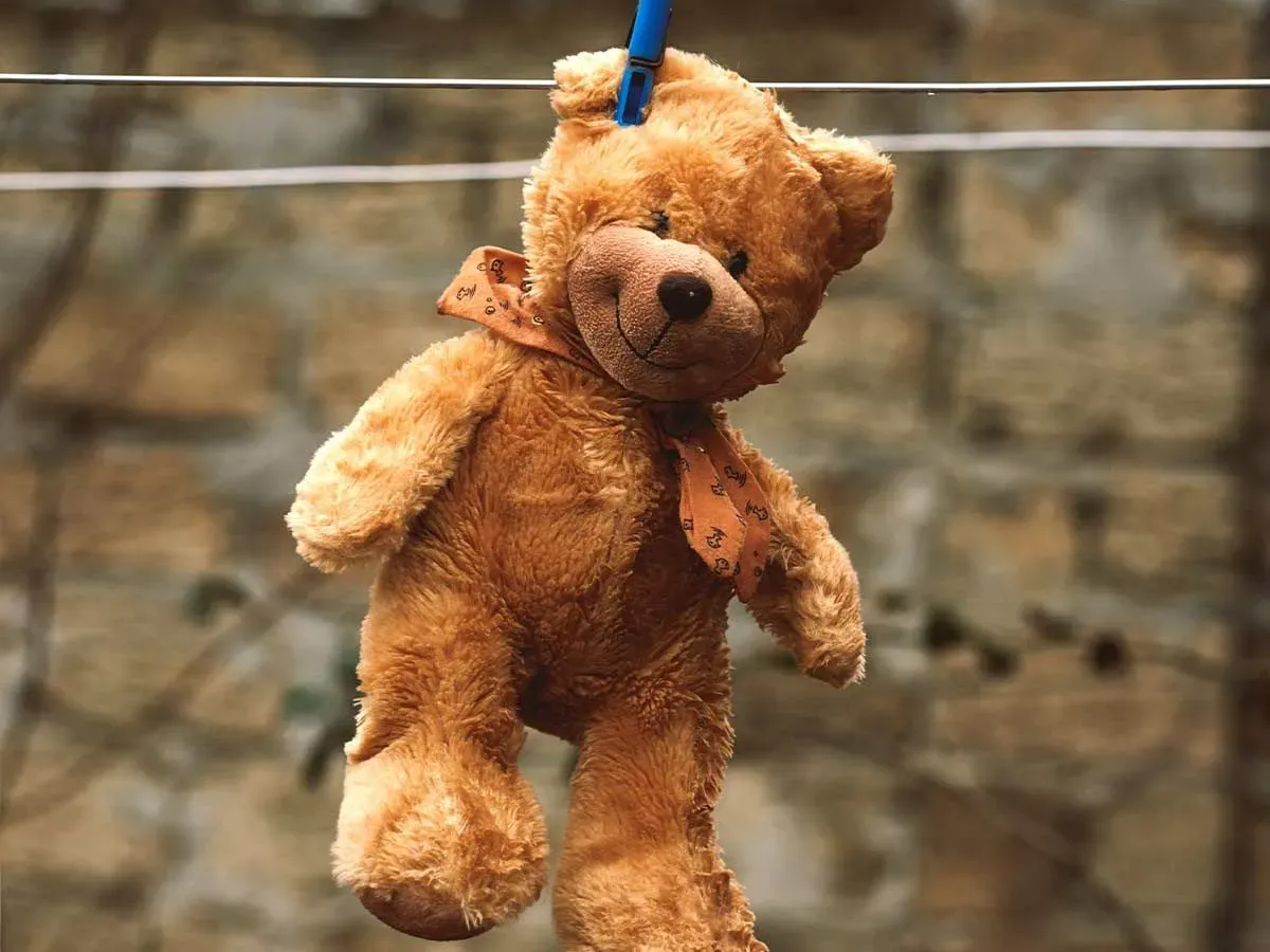 Brown teddy bear hanging on a washing line to dry.