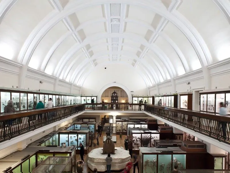 The natural history gallery at the Horniman Museum.