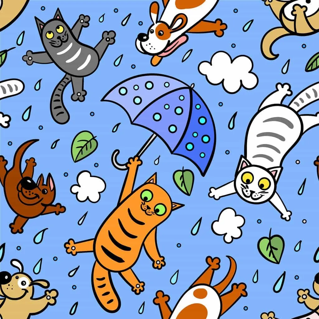 An animation of it raining cats and dogs - the animals falling from the sky with umbrellas - to help explain to kids.