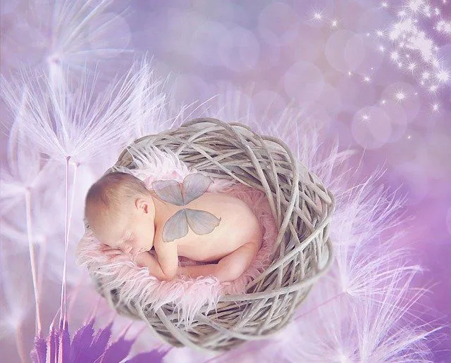 Newborn baby with purple butterfly wings is sleeping in a furry basket