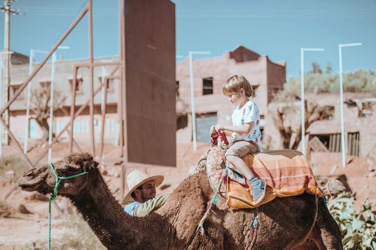 40 Camel Puns That Kids Will Love | Kidadl