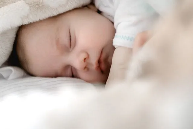 A newborn baby sleeping in a cozy blanket