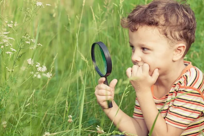 A boy learning about nature as he discovers things with a magnifying glass. Image