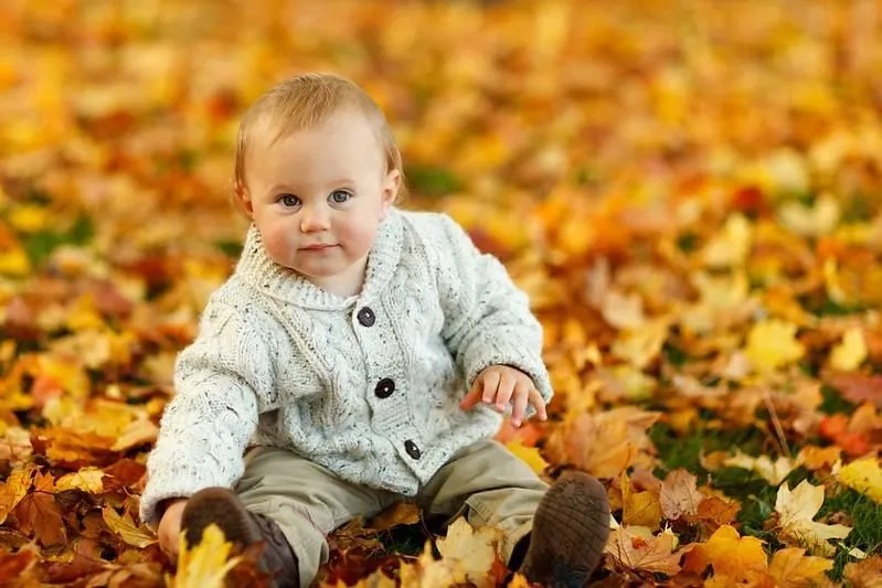 If you have welcomed or about to welcome a baby to light up your Christmas, then check out these autumn-inspired baby names.