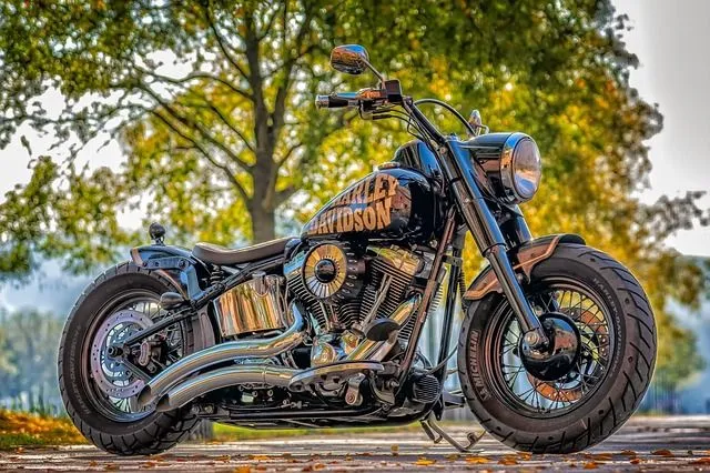 A tough-looking Harley Davidson motorcycle.