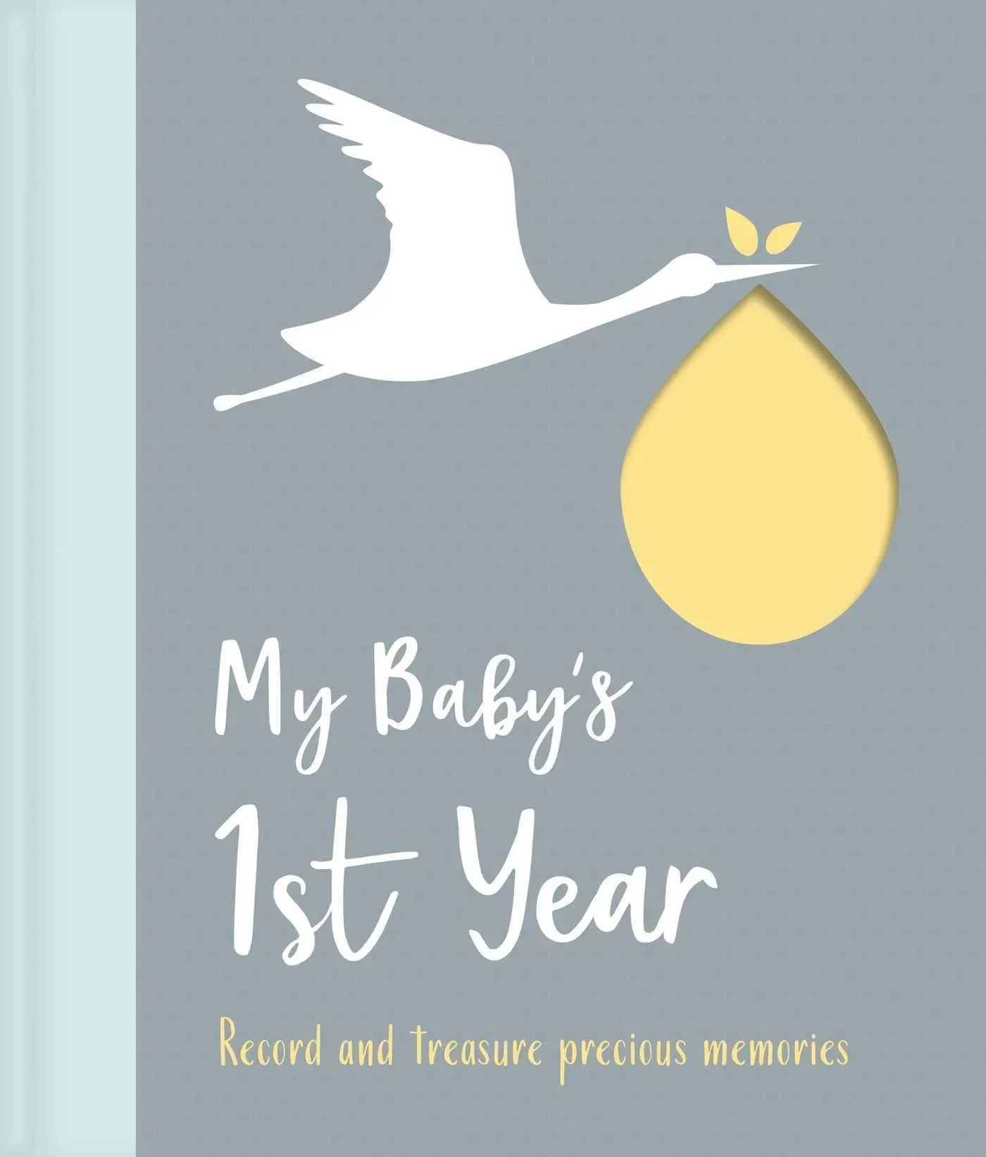 Igloo Books My Baby's 1st Year