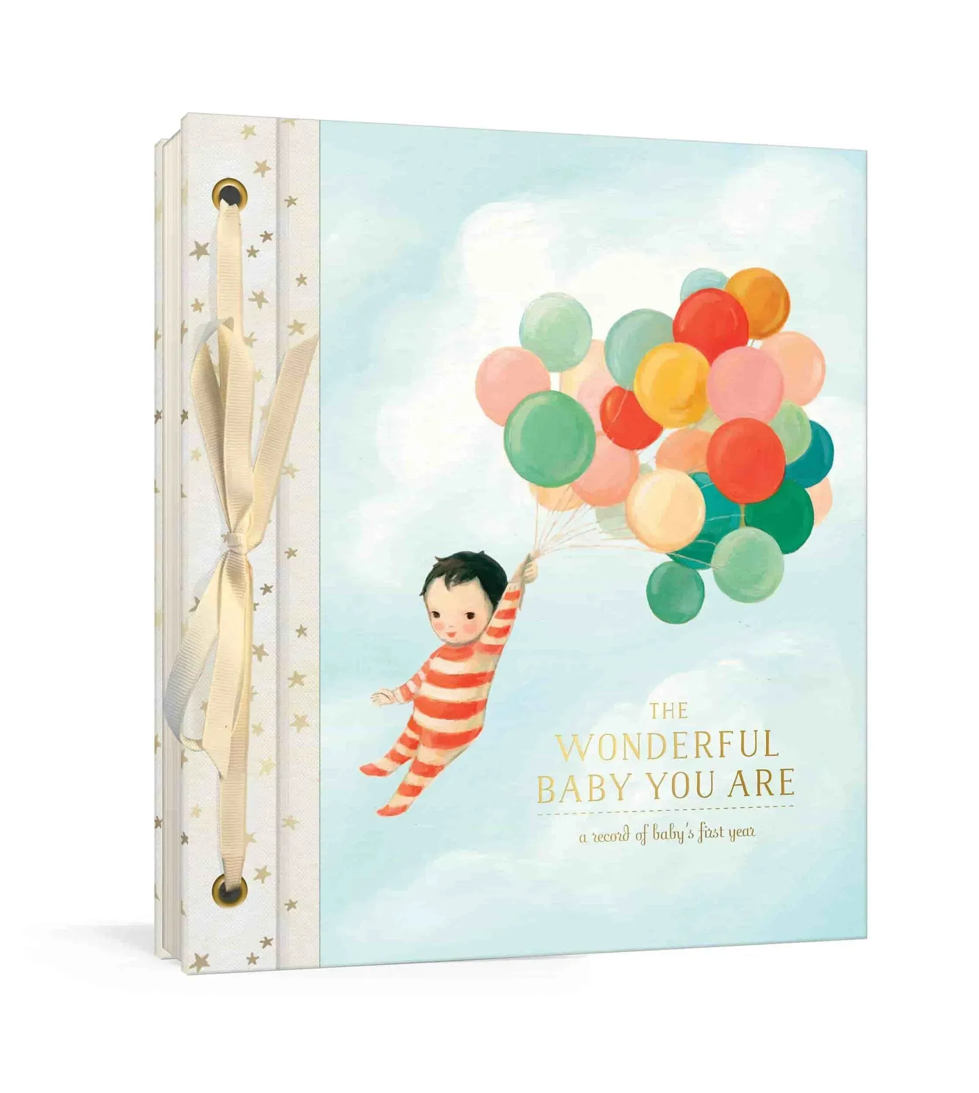 The Wonderful Baby You Are: A Record of Baby’s First Year by Emily Winfield Martin‍