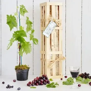 Grow Your Own Red Wine Gift Crate - The Gluttonous Gardener