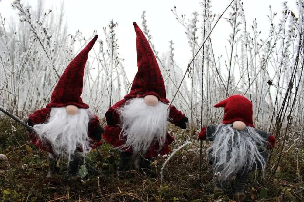 Three elves wearing red caps in flower field