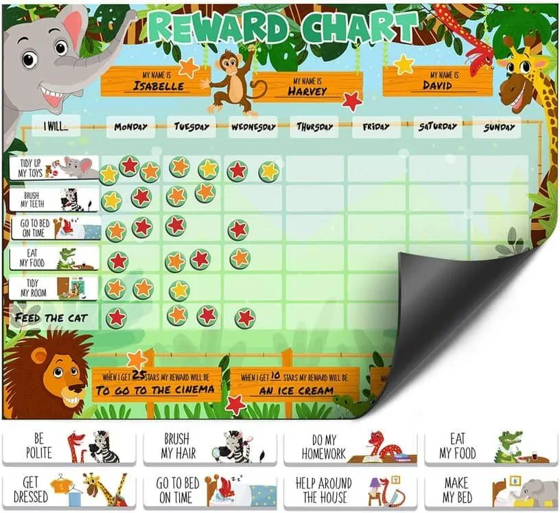 Details about   Good Behaviour Reward Chart Reusable Kids/Children 