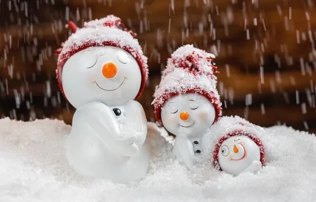 Choose the best name for your snowman.