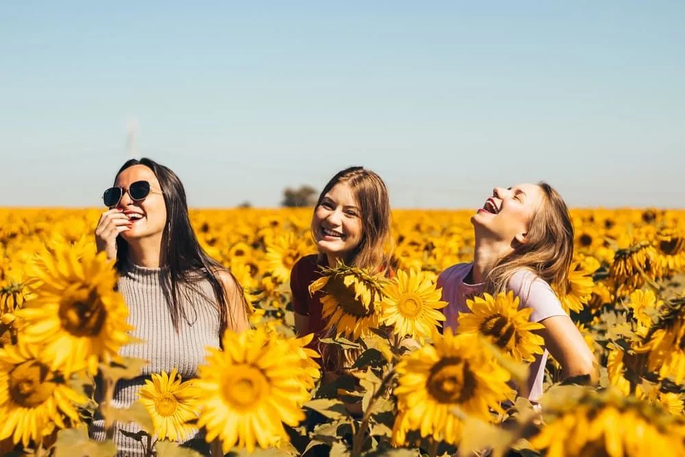 Three girls laughing in the field of yellow sunflowers - Name Inspiration