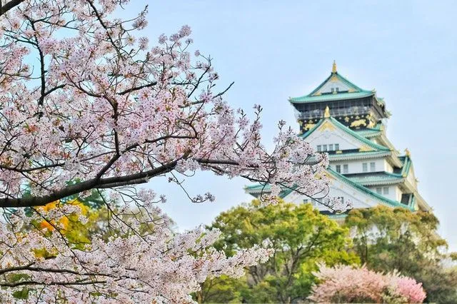 In Japan, spring is marked by the blooming of the cherry blossom.
