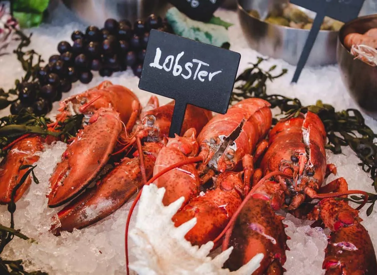 Funny lobster captions are a must with your Instagram stories of the yummy lunch.