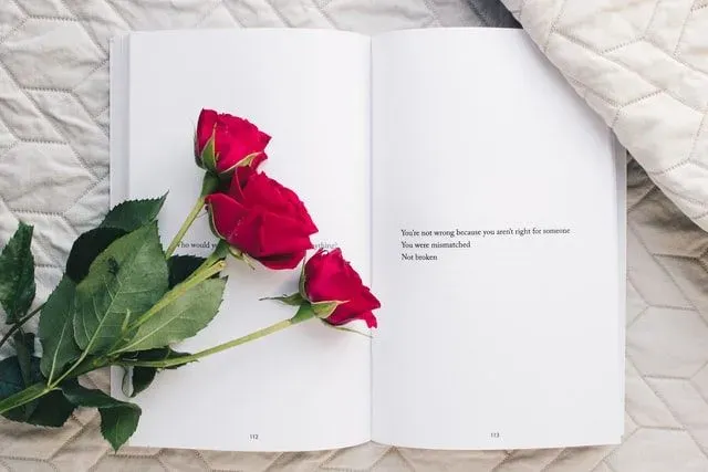 100 Best Rose Puns And Captions Youll Love