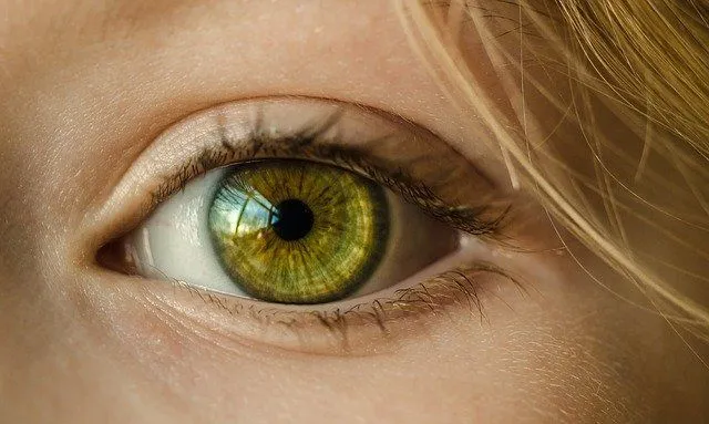 40 Amazing Green Eyes Facts How Much Do You Know About The Rarest Eye Color