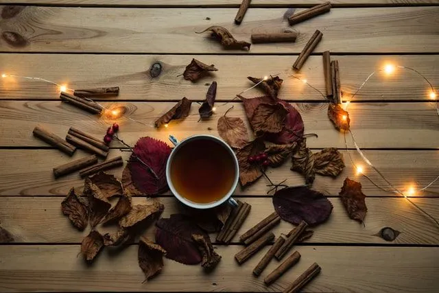 A warm cup of chai is the perfect drink for October.