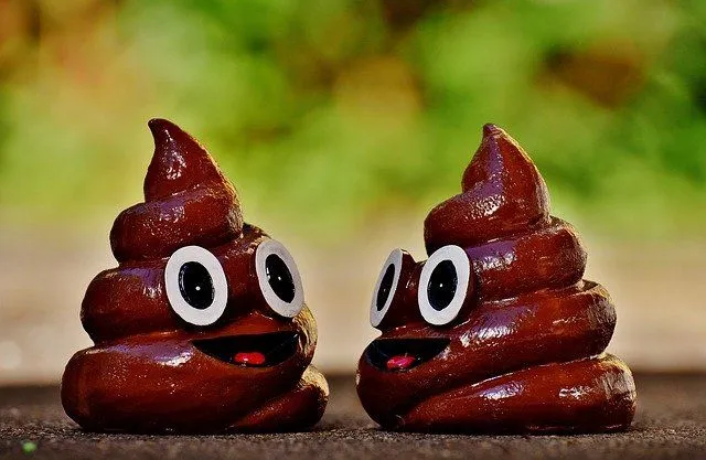 Have pun with poop jokes that will make you laugh out loud.