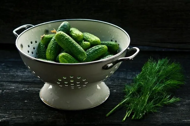 If you don't like pickle, well, you won't be able to do much but just dill with it.