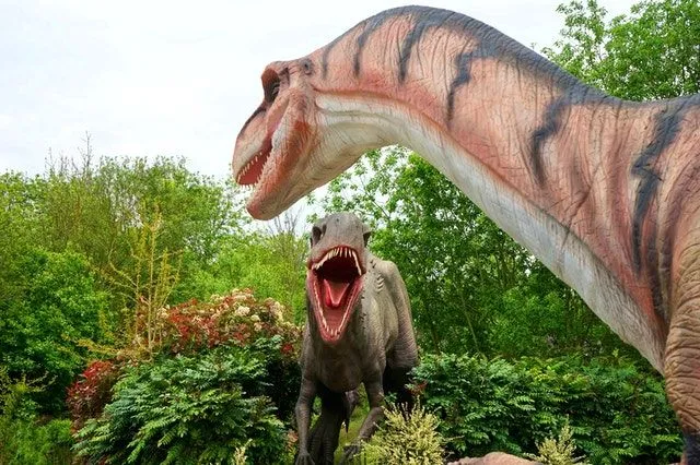 The dinosaur with the longest name is the Micropachycephalosaurus.