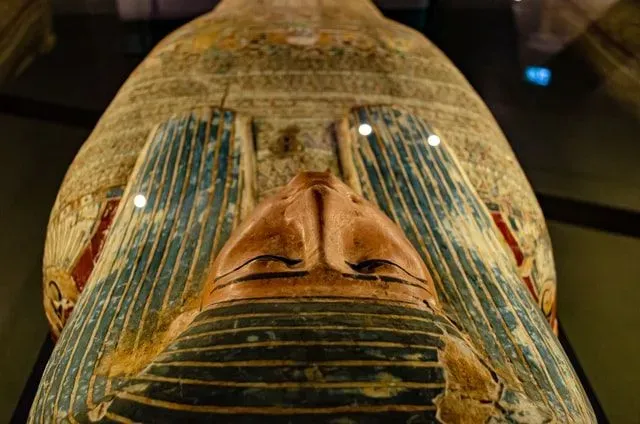 Mummies are one of the most integral parts of ancient Egyptian history.