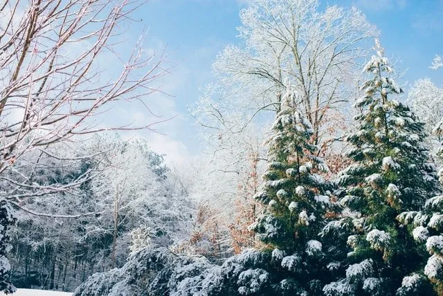 Wintertime is the season of festivities around the world.