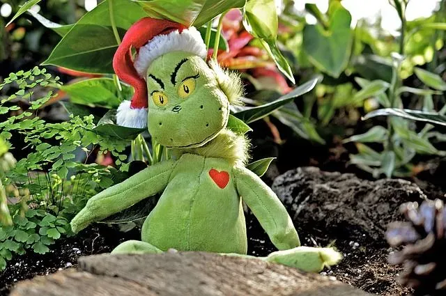 The Grinch Who Stole Christmas is a classic tale by Dr Seuss.